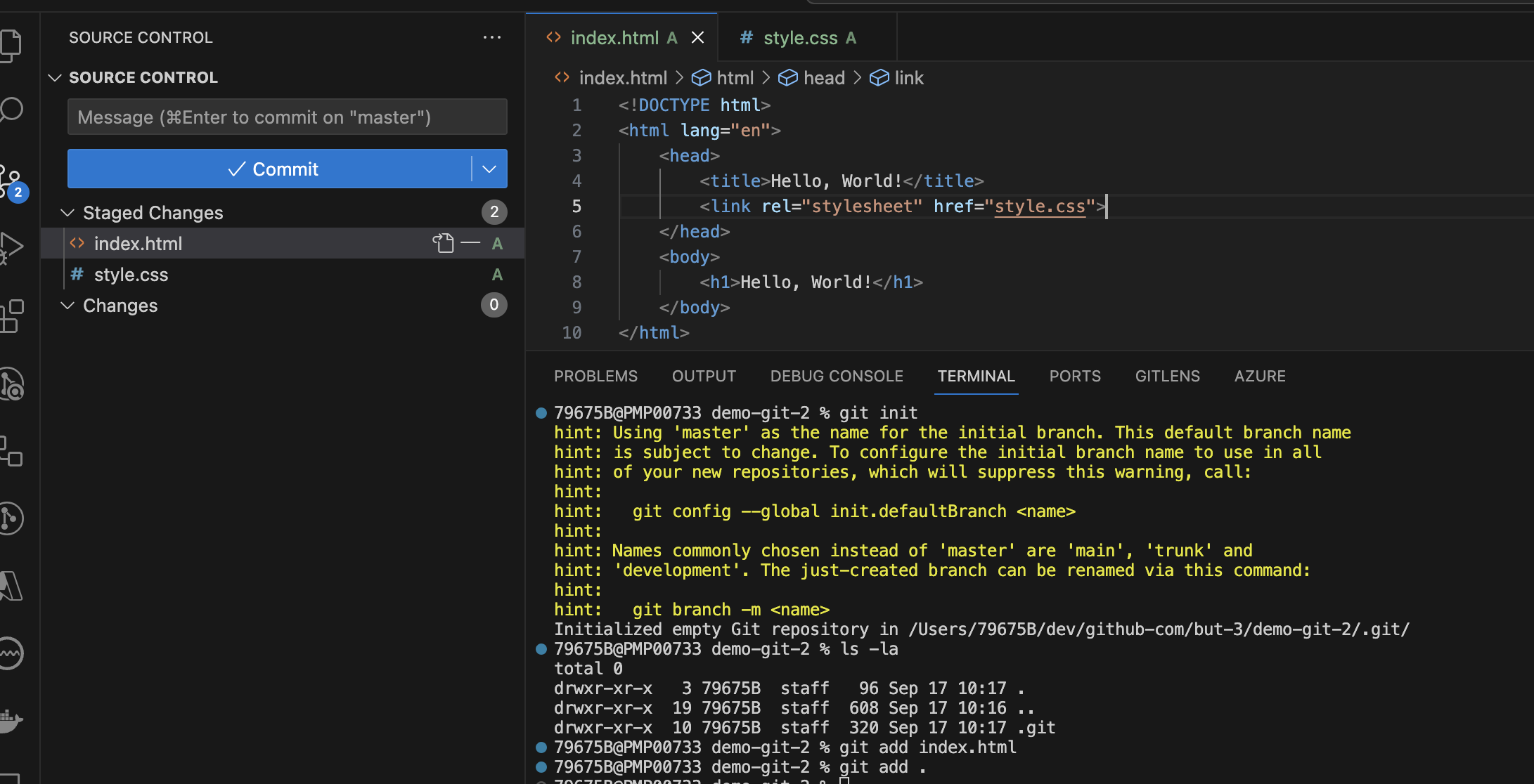 Visual Studio Code - Add all